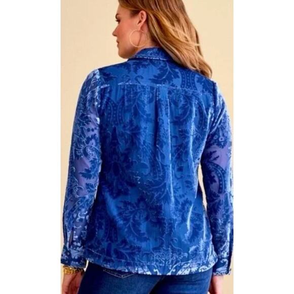 NWT Soft Surroundings Floreat Velvet Shirt M Sapphire Sheer Burnout $120 MSRP - Picture 5 of 10